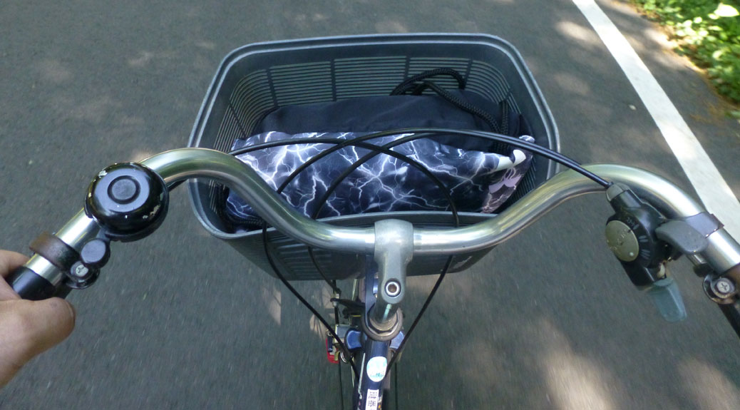 Bike basket