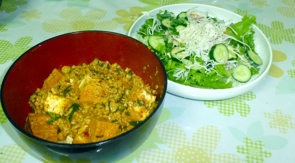 Mapo tofu served over brown rice with a side salad