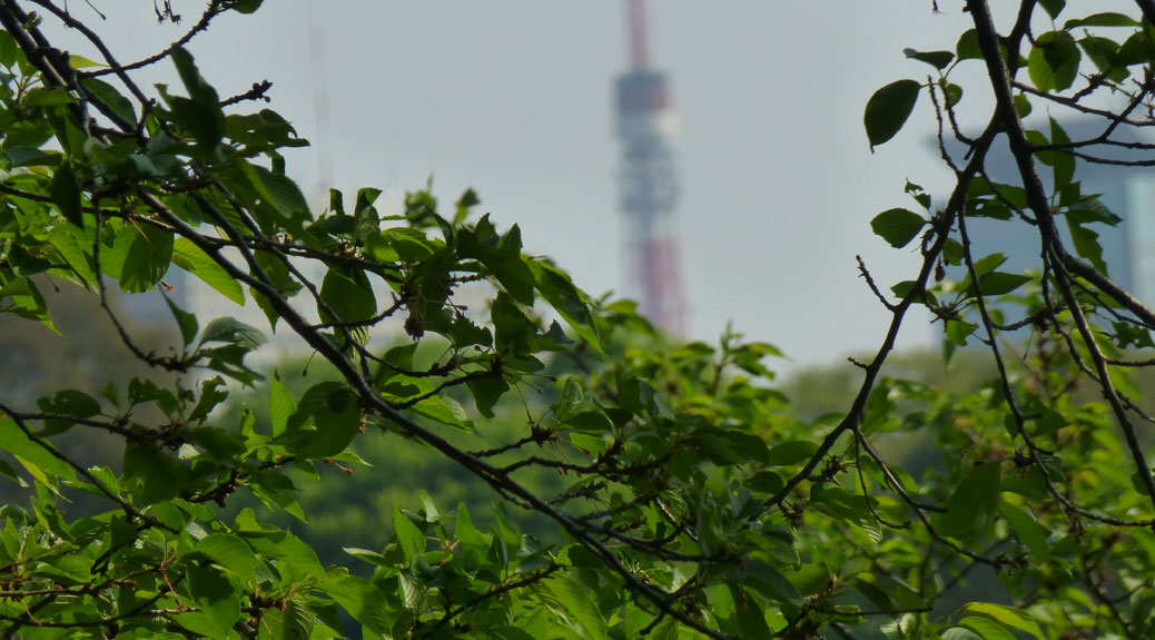 Tokyo Skytree