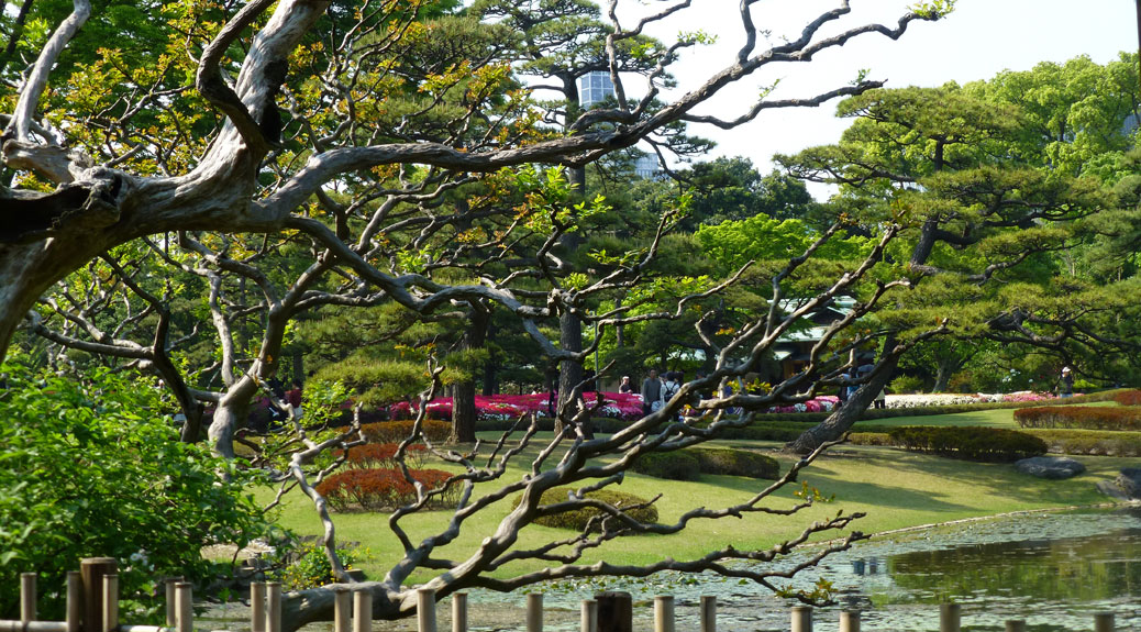 Trees and flowers