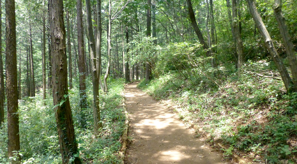 Part of the Mt. Hiwada trail