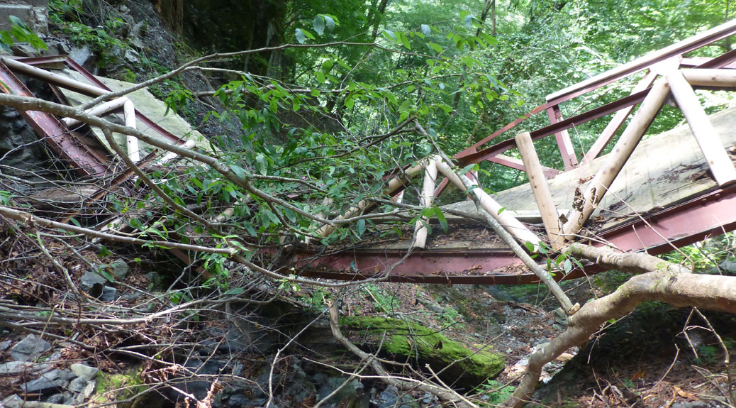 Collapsed Bridge