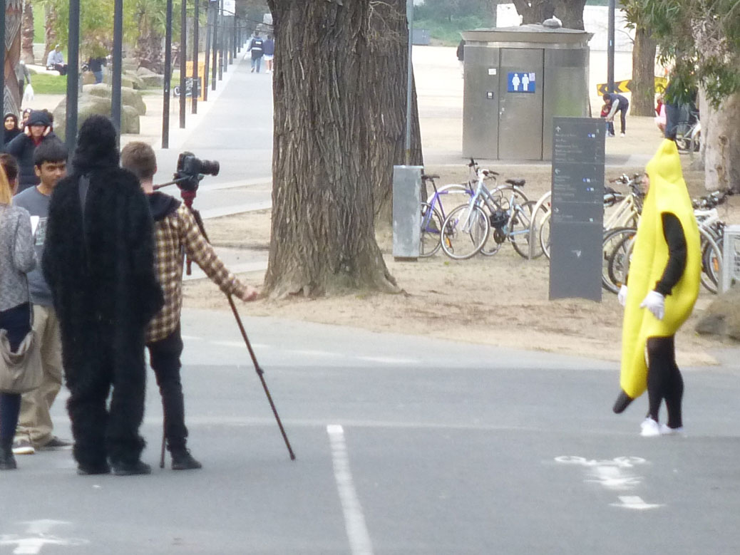 Gorilla chasing a banana