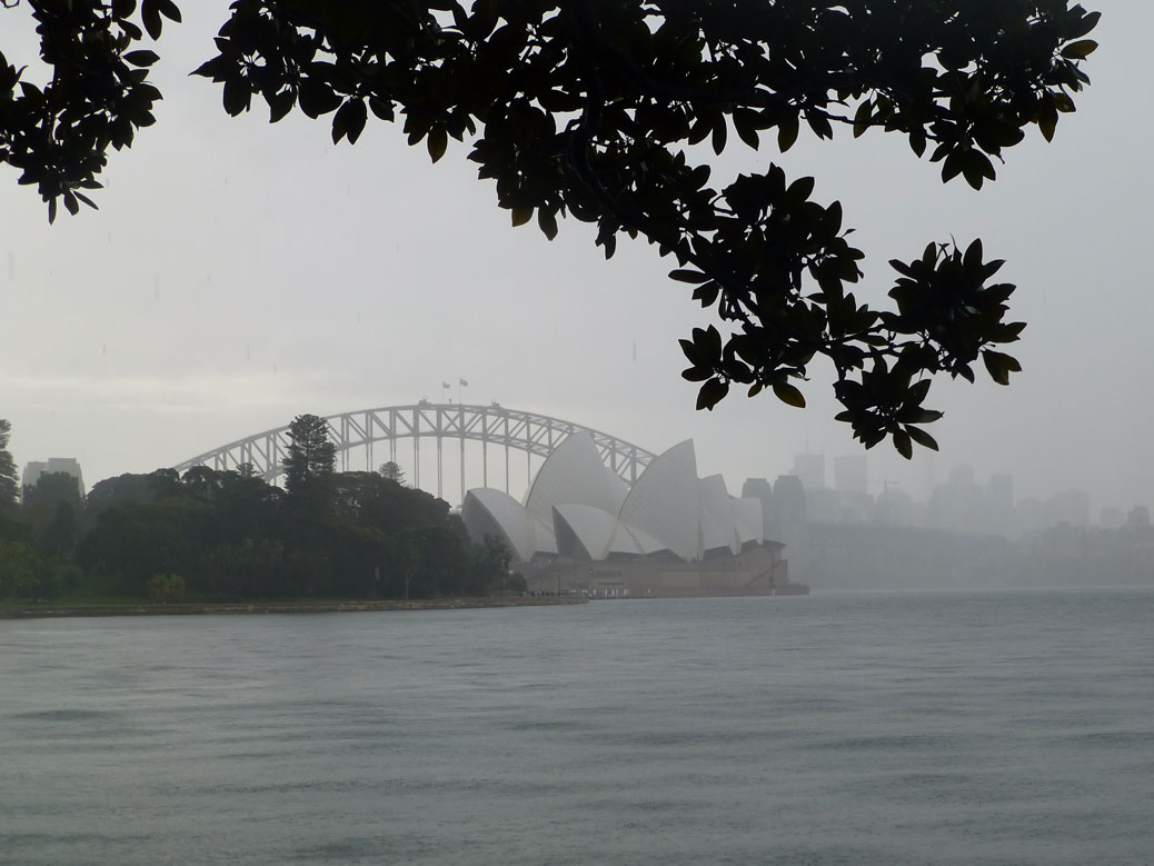 Farm Cove in the Rain