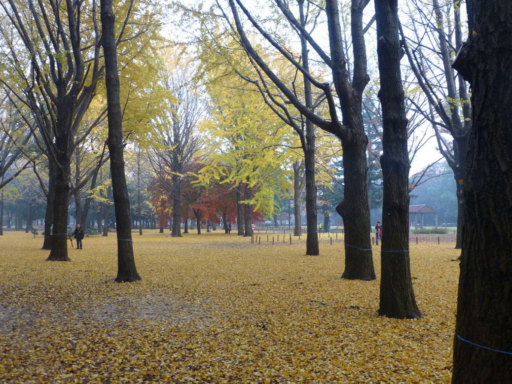 Yoyogi Park