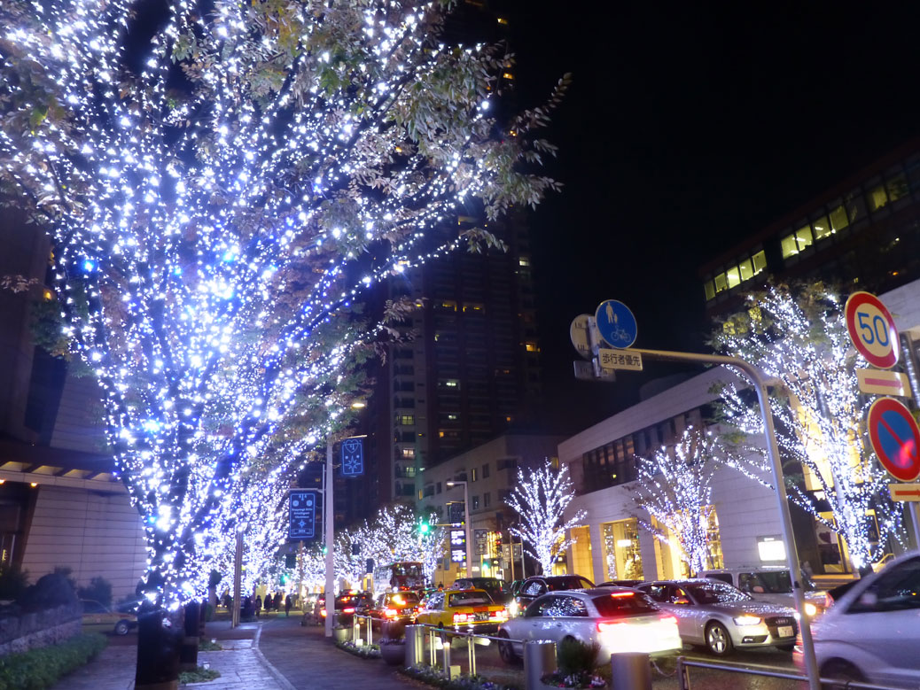 Roppongi Tree Lights