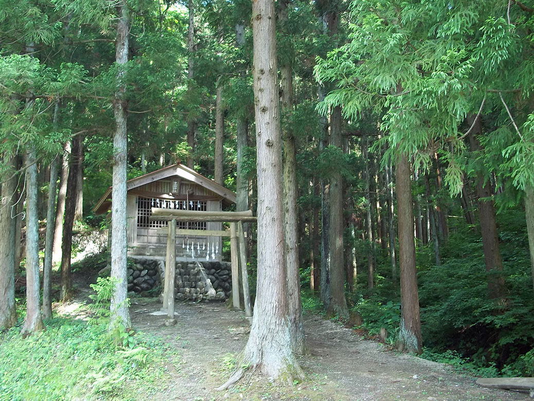 Rikyu Shrine, a small shrine in the woods along the road to the poppy fields. Shuttle services to the fields ended the weekend before our visit, so we got a nice 2.5 KM walk up the hill to see them.