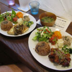 Tofu steak and deep-fried daizu "meat" at Cafe Sora in Ito