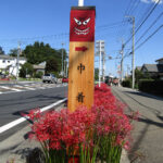 One of the many jangseung (Korean totem pole) found throughout Hidaka. The city has a long history with Korea, dating back to the settlement of refugees in the 8th century.