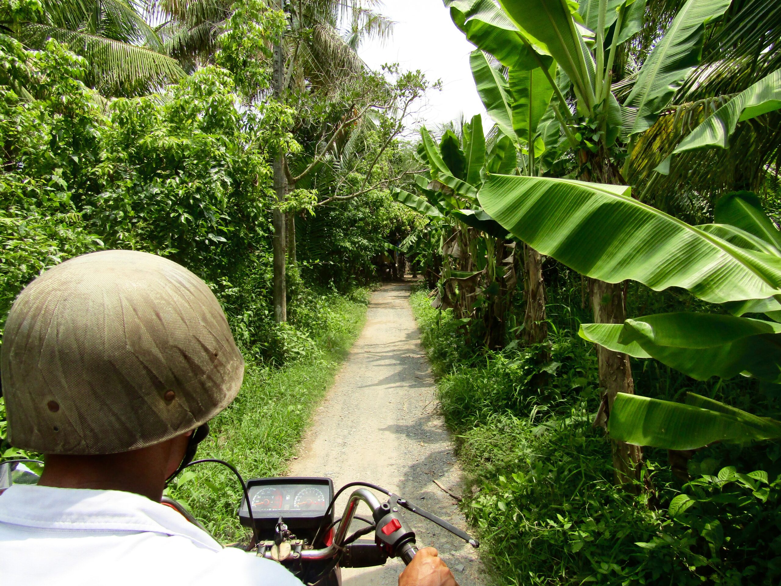 A motorbike ride through narrow trails on a tour of the Mekong Delta