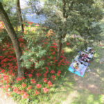 Many people took advantage of the beautiful weather and scenery to spread out a picnic.