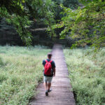 Crossing the mud bog that provides the majority of Saitama's mosquito population