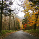 Amazing fall colors on the road to Yutaki Falls