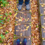 The wooden boardwalk on the Senjogahara Hiking Trail