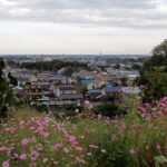 A view of Tokorozawa City from the hillside. Miyazaki lives in Tokorozawa.