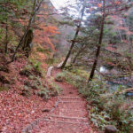 The wooden boardwalk on the Senjogahara Hiking Trail