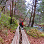 The wooden boardwalk on the Senjogahara Hiking Trail