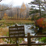 A rest area along the Senjogahara Hiking Trail