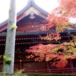 The fall colors pair well with the lacquered paint of Tōshō-gū Shrine