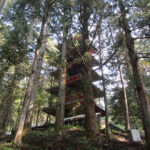 The five-storied pagoda peeks through the trees