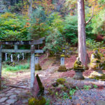 Kitano Shrine was built in 1661 to enshrine a Heian Era scholar named Sugawara Michizane, now recognized as the God of Study. A large rock nearby called the Tegake Stone is believed to contain powers to improve scholarship and penmanship.