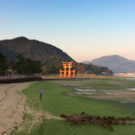 At low tide, the seaweed looks like grass along the shoreline near the Great Torii