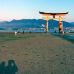 We're just a couple shadows in the shadow of the Great Torii