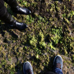 Walking through the mud and the seaweed at low tide