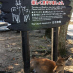 I like to think this deer knew what the sign said