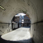 Ivy grows into a tunnel leading to the Uguisuhodo Nature Walk trail