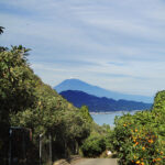 Mt. Fuji from Satta Pass