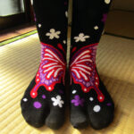 Two-toed socks (tabi) make a butterfly when put together