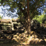 Beng Mealea is one of Angkor's most impressive temples, with a wonderful combination of ruins and decorative, naturally-intact buildings.