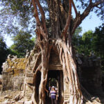 A sacred fig tree's roots entangle the eastern entrance to Ta Som temple