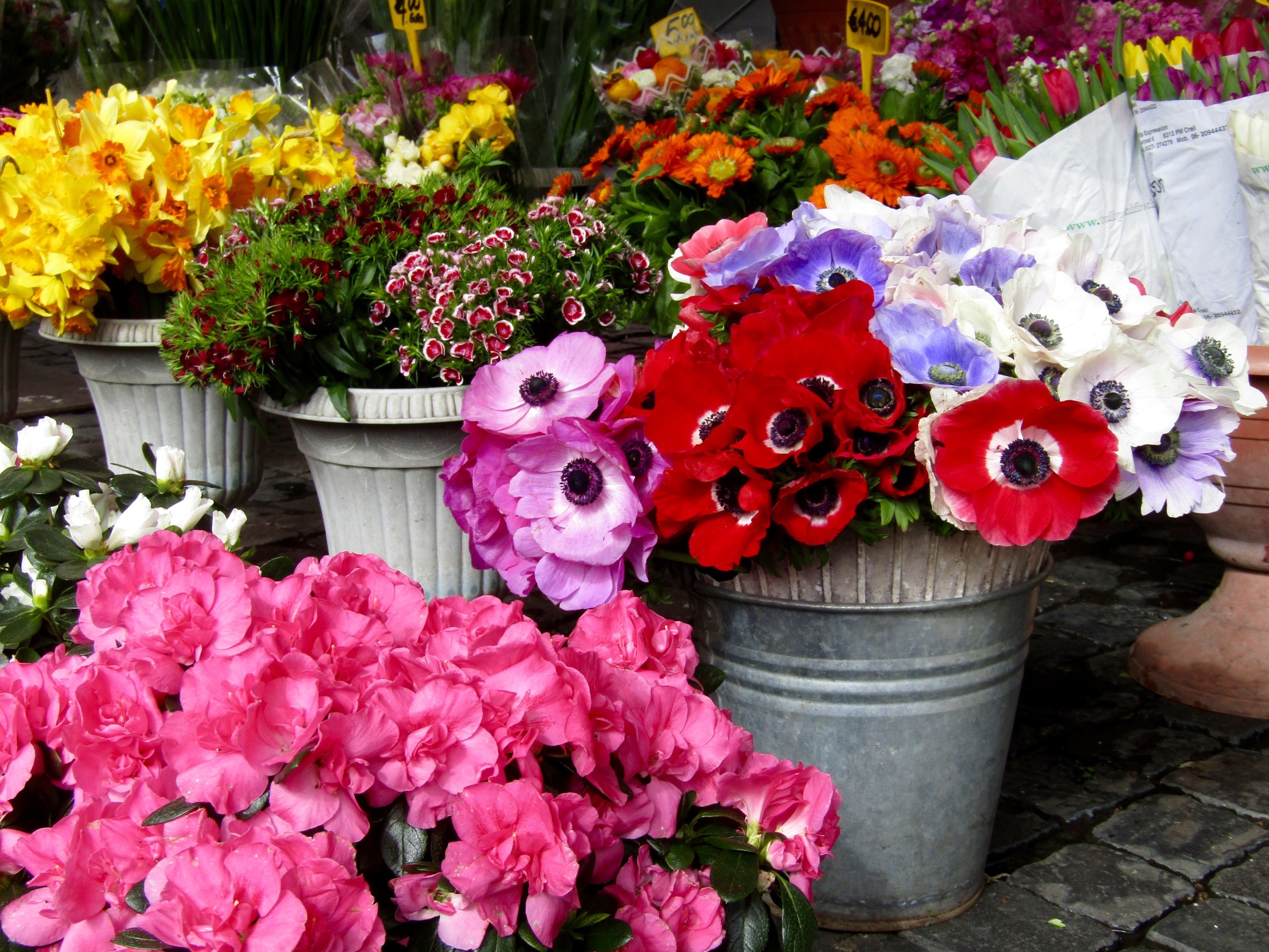 Flowers at the Campo de' Fiori market.