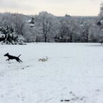 New friends enjoying the snow in Riegrovy Sady.