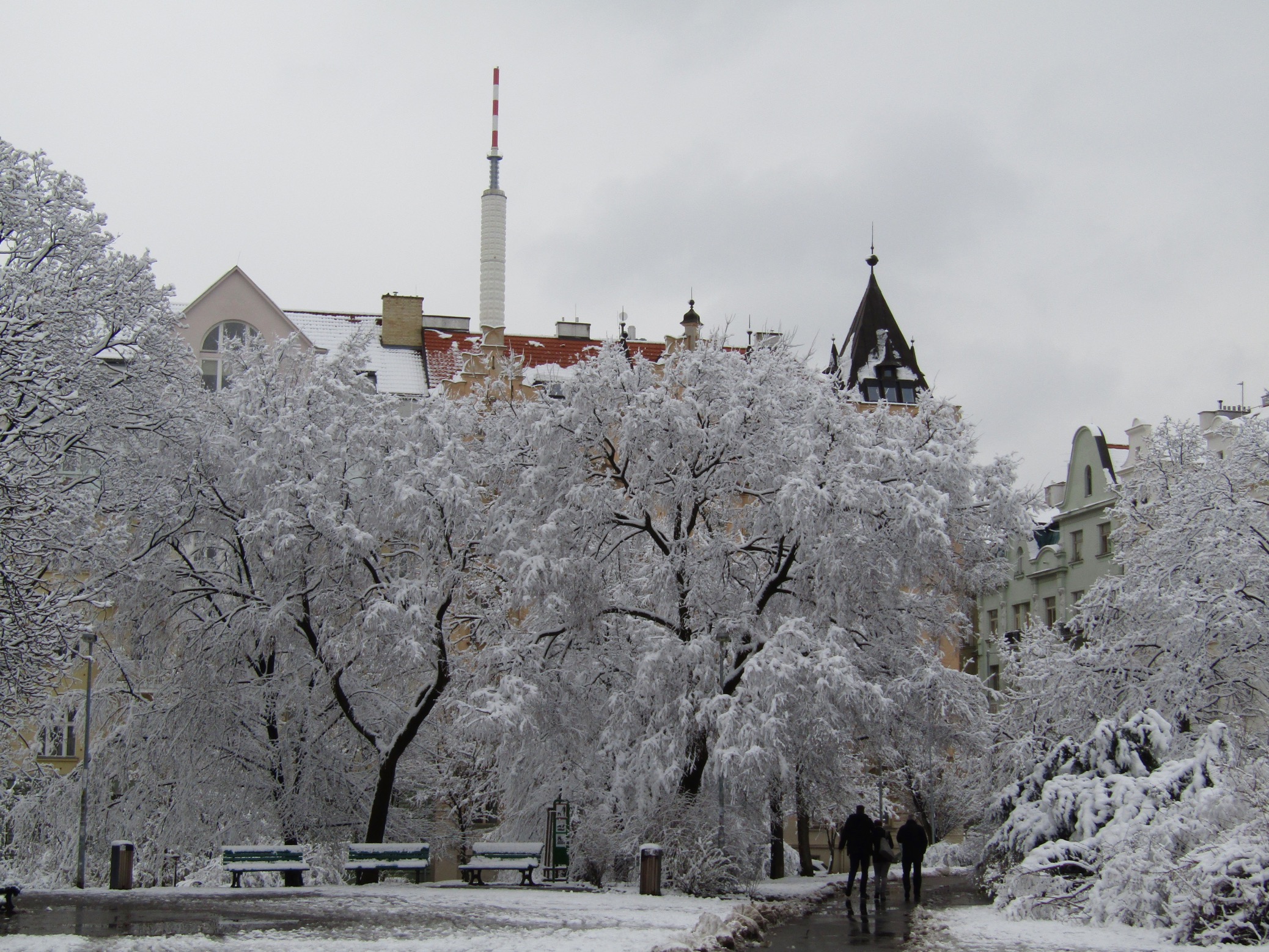 The antenna of the Žižkov Television Tower pokes up over a grove of trees in Vinohrady.