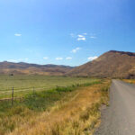 The road to the Painted Hills