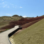 The boardwalk on the Painted Cove Trail.