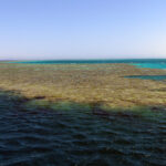 First snorkeling and dive site off Tiran Island.