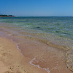 Clear waters of the Red Sea.