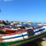 Boats lining Alexandria’s corniche, or waterfront promenade.